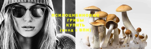 соль курить ск Липки