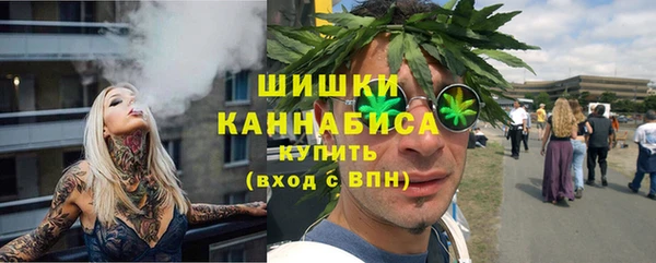 прущие грибы Кострома