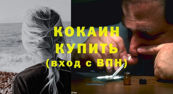 соль ск Лиски