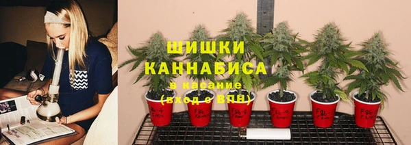 соль ск Лиски