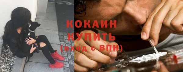 соль ск Лиски